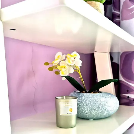 The Violet Bloom Parkside In Geo Milev By Keybox * Sofia