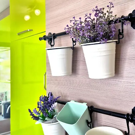 The Violet Bloom Parkside In Geo Milev By Keybox * Sofia