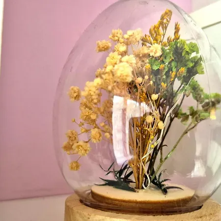 The Violet Bloom Parkside In Geo Milev By Keybox アパート *
